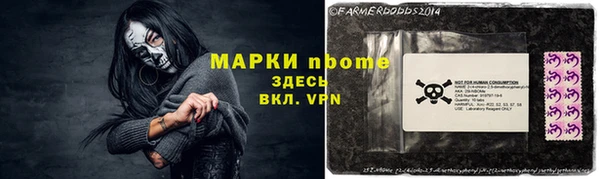крисы Арсеньев