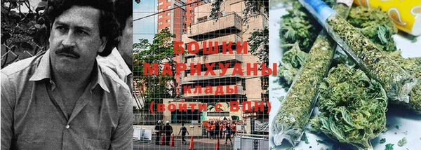 ПСИЛОЦИБИНОВЫЕ ГРИБЫ Армянск
