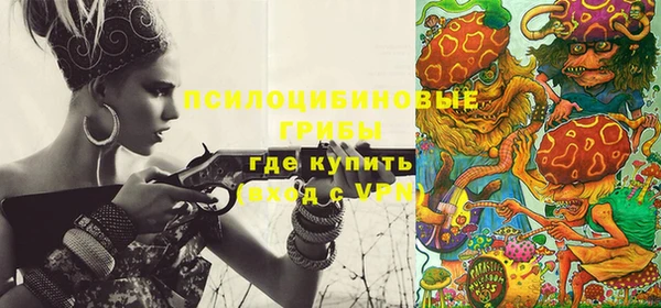 ПСИЛОЦИБИНОВЫЕ ГРИБЫ Армянск