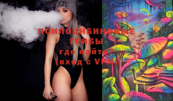 твердый Алзамай