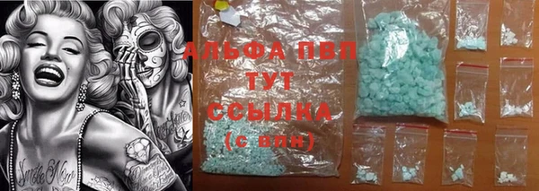 ПСИЛОЦИБИНОВЫЕ ГРИБЫ Покров